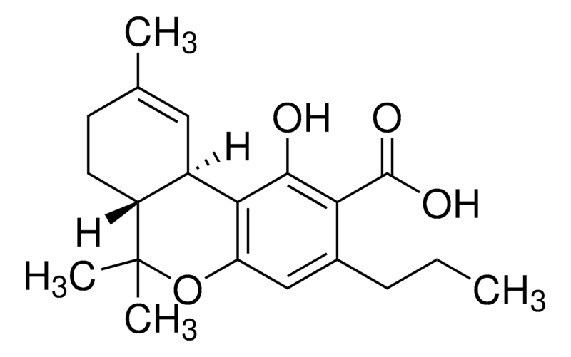 四氫次大麻酚酸標(biāo)準(zhǔn)品