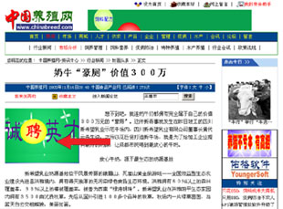 畫中畫廣告(圖1)