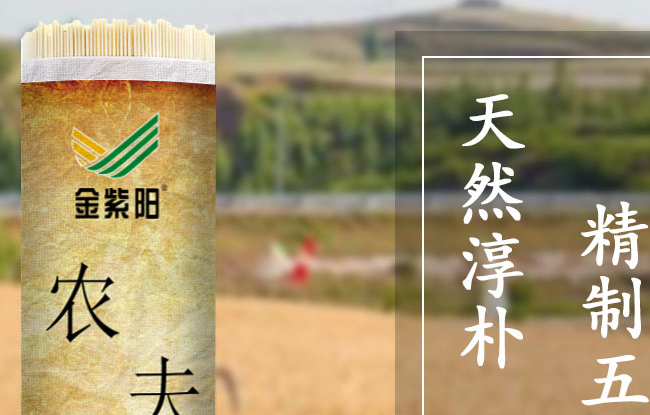 金紫陽品牌logo與食品包裝設計欣賞(圖3)