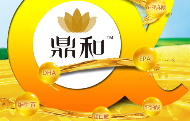 鼎和品牌logo與食品包裝設(shè)計(jì)欣賞(圖4)