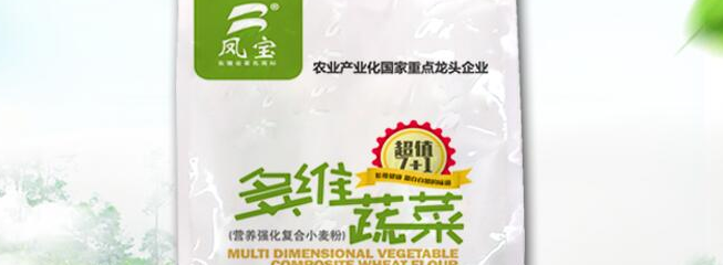 鳳寶品牌logo與食品包裝設(shè)計(jì)欣賞(圖3)