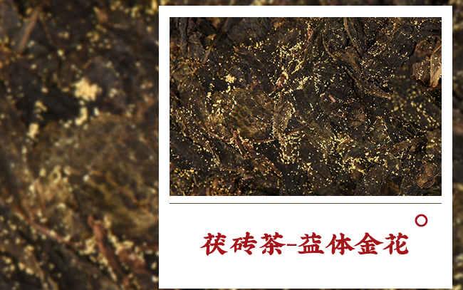阿香美品牌logo與食品包裝設(shè)計(jì)欣賞(圖3)