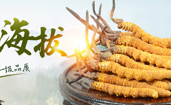 青源堂品牌logo與食品包裝設計欣賞(圖3)