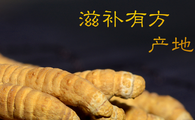 青源堂品牌logo與食品包裝設計欣賞(圖4)