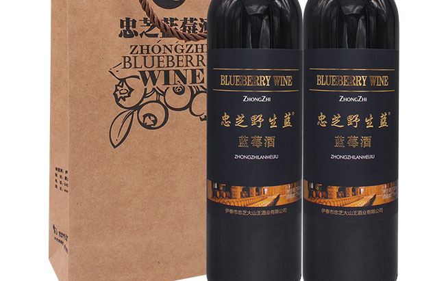 忠芝食品包裝設(shè)計(jì)欣賞(圖2)