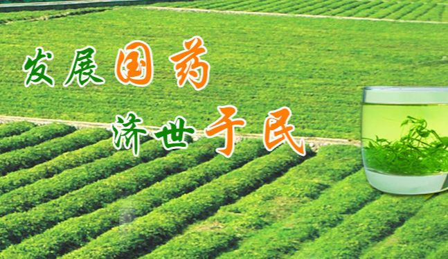 碧參食品包裝設(shè)計(jì)欣賞(圖4)